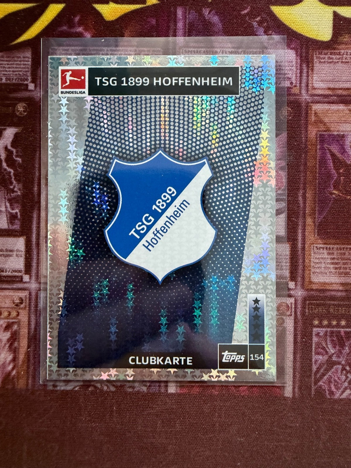 TSG 1899 Hoffenheim Clubkarte #154 Match Attax Bundesliga 2018/19 Topps