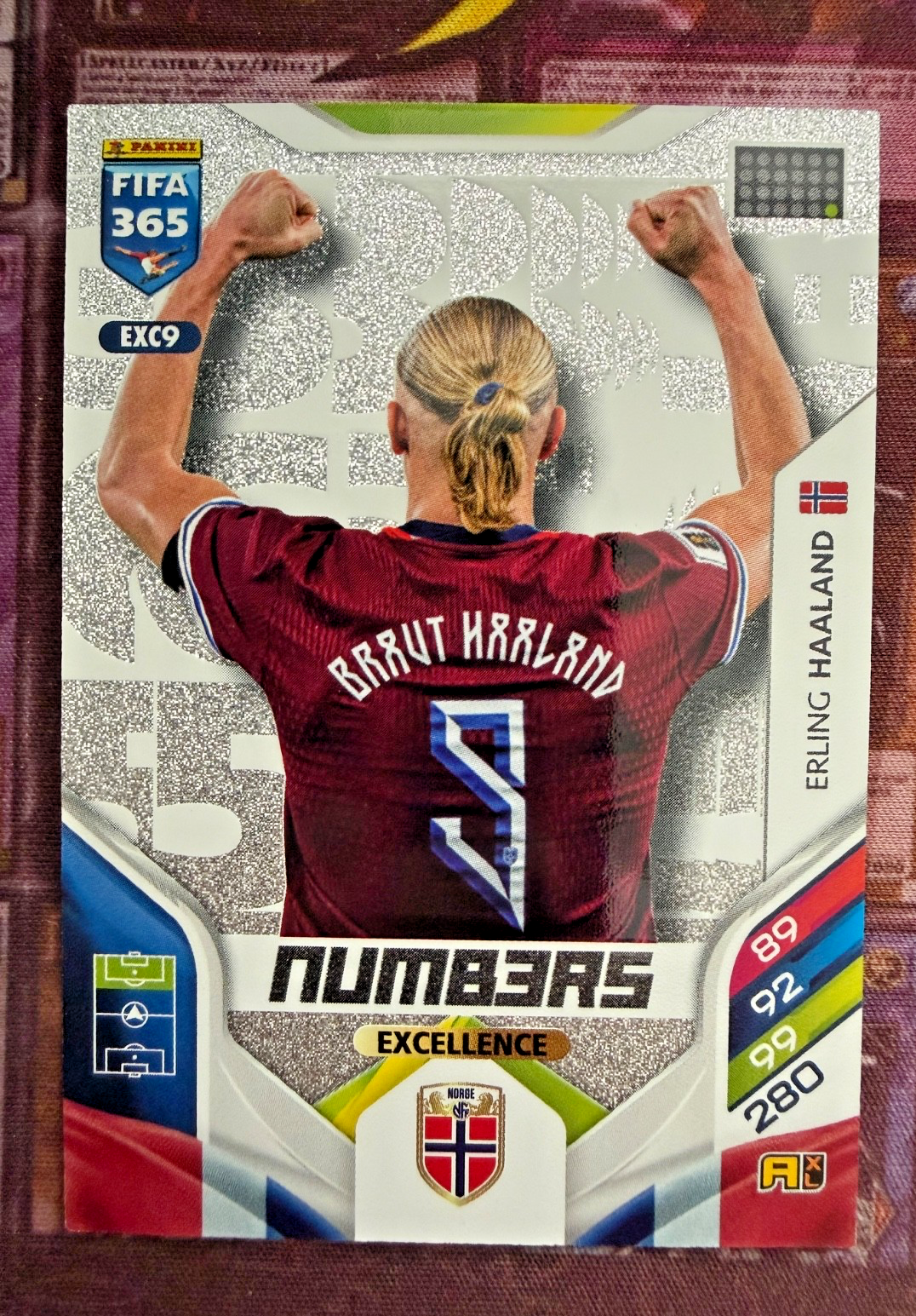 Erling Haaland EXC9 Numbers Excellence Panini FIFA 365 2025/26 Norway Manchester